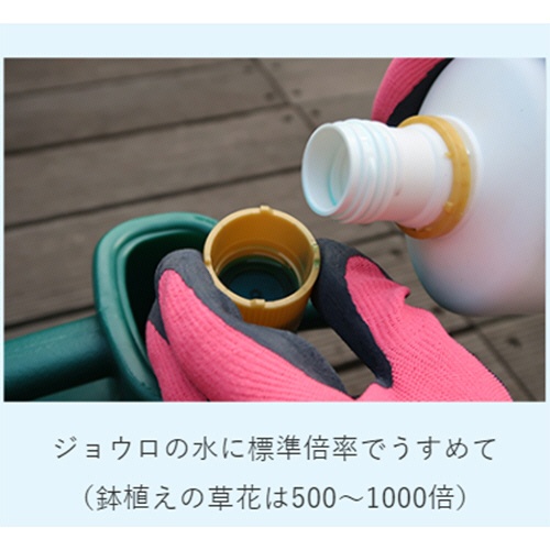 ＫＩＮＣＨＯ園芸　花工場原液　６００ｍｌ　１本5