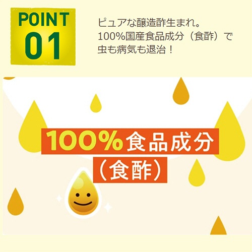 ＫＩＮＣＨＯ園芸　お酢から生まれたピュアベニカ　１０００ｍｌ　１本2