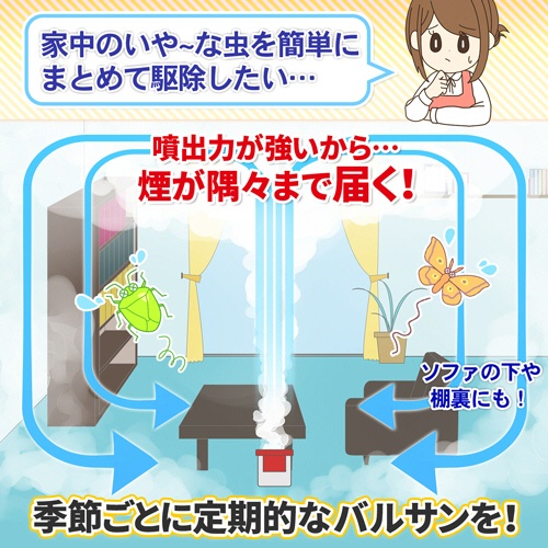レック　バルサン　火を使わない水タイプ　２５ｇ（１２－１６畳）　ＶＳＨＭＤ　１個3