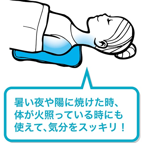 メテックス　ＥＣＣＯクールピロー　ＳＫＥＣＣＯ　１個4
