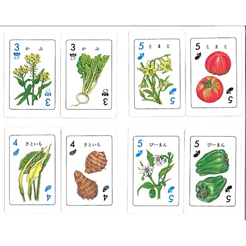 奥野かるた店　野菜カード　１セット2