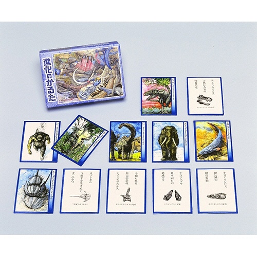 奥野かるた店　進化のかるた　１セット3