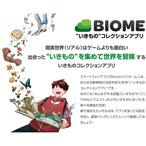 池田工業社　いきもの調査隊の網　１本4