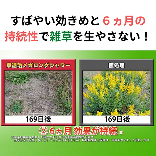 ＫＩＮＣＨＯ園芸　草退治メガロングシャワー　４Ｌ　１本2