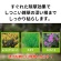 ＫＩＮＣＨＯ園芸　草退治メガロングシャワー　４Ｌ　１本3