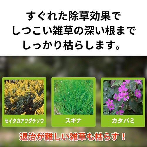 ＫＩＮＣＨＯ園芸　草退治メガロングシャワー　４Ｌ　１本3