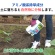 ＫＩＮＣＨＯ園芸　グリーンスキットシャワー　４．２Ｌ　１本5