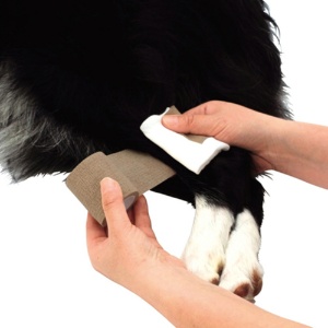 ペティオ　ｚｕｔｔｏｎｅ　老犬介護用　巻くだけ伸縮包帯　５ｃｍ×４．５ｍ　２３６２１１　１巻4