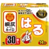 小林製薬 桐灰カイロ はる 1箱(30個)
