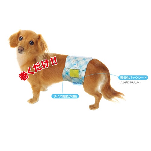 第一衛材　男の子のためのマナーおむつ　おしっこ用　ビッグパック　中型犬用　１パック（３２枚）2