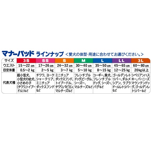 第一衛材　マナーパッド　Ａｃｔｉｖｅ　Ｓ　１パック（２２枚）4