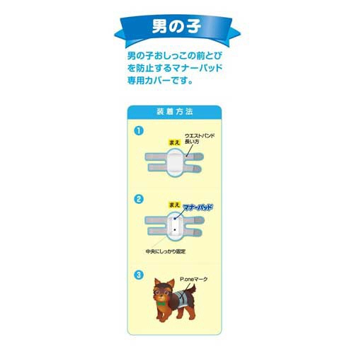 第一衛材　男の子用マナーホルダーＡｃｔｉｖｅ　ＳＳ　１枚2