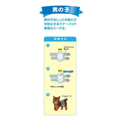 第一衛材　男の子用マナーホルダーＡｃｔｉｖｅ　ＬＬ　１枚2