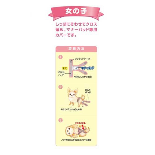 第一衛材　女の子用マナーホルダーＡｃｔｉｖｅ　ＳＳ　１枚2