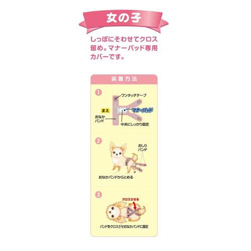 第一衛材　女の子用マナーホルダーＡｃｔｉｖｅ　Ｓ　１枚2