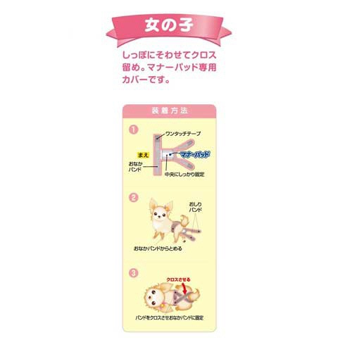 第一衛材　女の子用マナーホルダーＡｃｔｉｖｅ　Ｍ　１枚2