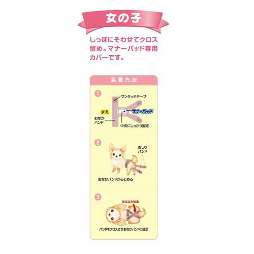 第一衛材　女の子用マナーホルダーＡｃｔｉｖｅ　Ｌ　１枚2