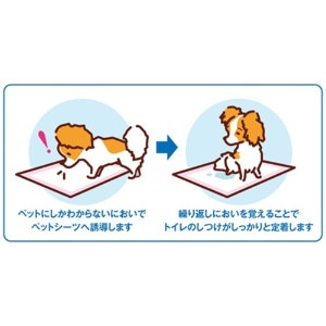 ボンビアルコン　しつけるシーツ幼犬用ｎｅｏ　レギュラーサイズ　１パック（４０枚）5