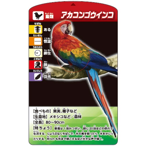 くもん出版　考える生きもの分類カードゲーム　ＴＳ－１０　１個5