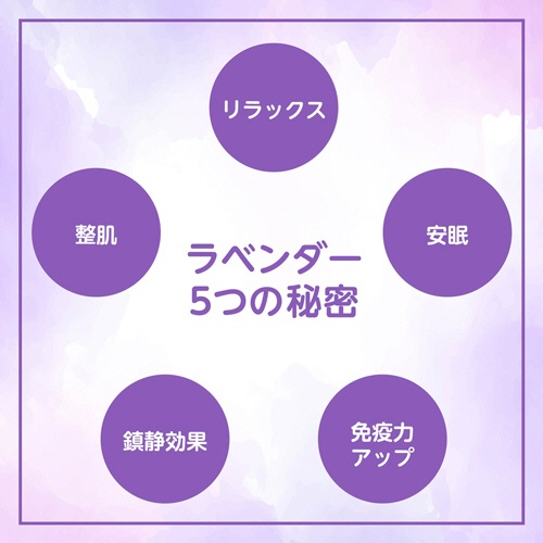 アクシス　レイヴィー　ボディシャンプー　ラベンダー＆パール　詰替用　９００ｍｌ　１個5