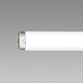 ホタルクス（ＮＥＣ）　蛍光ランプ　ライフルックＨＧＸ　直管グロースタータ形　２０Ｗ形　３波長形　昼白色　ＦＬ２０ＳＳＥＸ－Ｎ／１８－Ｘ２／４Ｋ－Ｌ　１パック（４本）