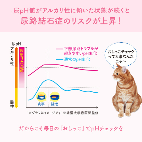 たのめーる】大王製紙 エリエールPet キミおもい おしっこ たのめーる】大王製紙 エリエールPet キミおもい おしっこ