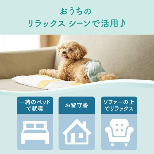 大王製紙　エリエールＰｅｔ　キミおもい　おうちくつろぎリラックスウェア　Ｓ　１パック（３６枚）5