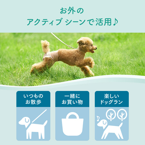 たのめーる】大王製紙 エリエールPet キミおもい のびのび動ける