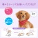 大王製紙　エリエールＰｅｔ　キミおもい　汚れもニオイもからめとる　全身すっきりシート　小型犬用　１パック（２８枚）4