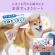 大王製紙　エリエールＰｅｔ　キミおもい　汚れもニオイもからめとる　全身すっきりシート　小型犬用　１パック（２８枚）5