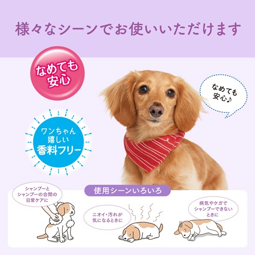 大王製紙　エリエールＰｅｔ　キミおもい　汚れもニオイもからめとる　全身すっきりシート　中型犬用　１パック（２０枚）4