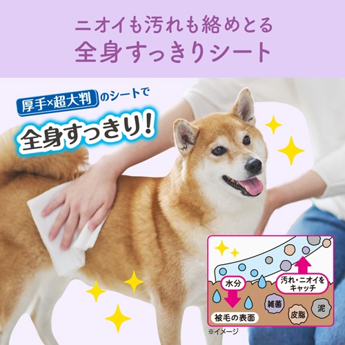 大王製紙　エリエールＰｅｔ　キミおもい　汚れもニオイもからめとる　全身すっきりシート　中型犬用　１パック（２０枚）5