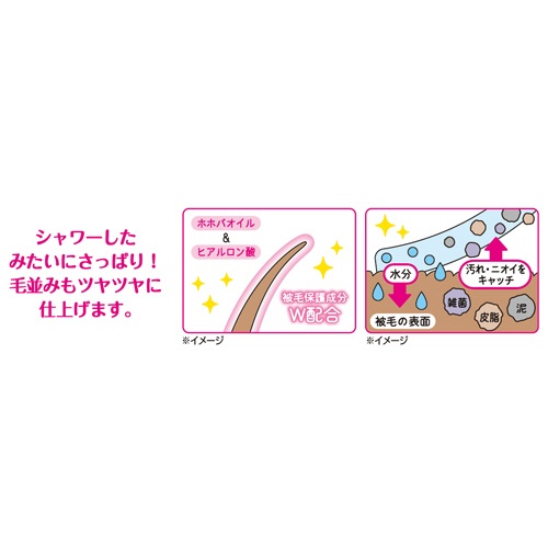 大王製紙　エリエールＰｅｔ　キミおもい　汚れもニオイもからめとる　全身すっきりシート　中型犬用　１パック（２０枚）8