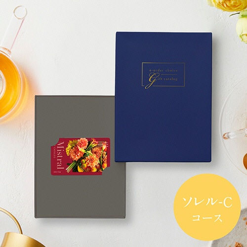 大和　ミストラル　ｅ－ｏｒｄｅｒ　ｃｈｏｉｃｅ　ソレル　１セット1