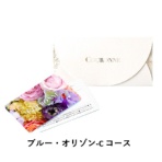大和 クロンヌ e-order choice ブルー・オリゾン 1セット