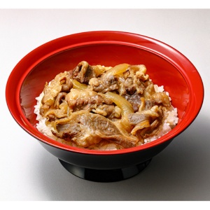トロナジャパン　すき家　牛丼の具５食・牛カルビ丼の具５食セット　１セット4