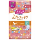 大王製紙　ナチュラ　さら肌さらり　ちょこっとケア　よれスッキリ吸水ナプキン　２４ｃｍロング　３０ｃｃ　大容量パック