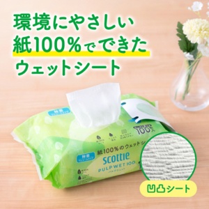 日本製紙クレシア　スコッティ　ウェットシート　除菌アルコール　ＰＵＬＰ　ＷＥＴ　１００　１パック（１００枚）4