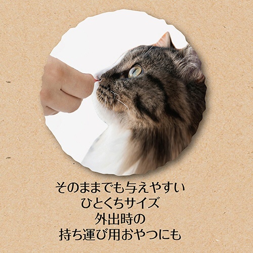 ペティオ　素材そのまま　フリーズドライ　Ｆｏｒ　Ｃａｔ　ササミ　１５ｇ　１３３２４４　１パック3