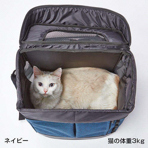 ペティオ　Ａｄｄ．Ｍａｔｅ　Ｌｉｓｃｉｏ　ＣＡＴ　リュックキャリー　ネイビー　２５８７８７　１個10
