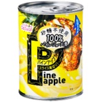 三菱食品　リリーカジュアル　パインスライス　１００％ジュース漬け　３号缶ＥＯ　５６５ｇ