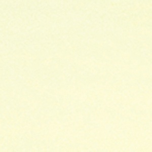 竹虎　速乾防水シーツ　９０×１４５ｃｍ　黄色　１パック（２枚）2