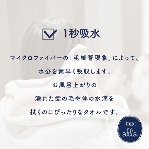 丸眞　トアラ　ミニタオル　トアラグリーン　１枚5