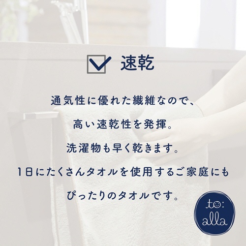 丸眞　トアラ　ミニタオル　トアラグリーン　１枚6