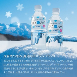 ロジネットジャパン　北海道大雪山ゆきのみず　５５０ｍｌ　ペットボトル　１ケース（２４本）3