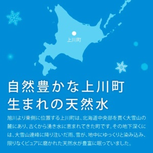 ロジネットジャパン　北海道大雪山ゆきのみず　５５０ｍｌ　ペットボトル　１ケース（２４本）4