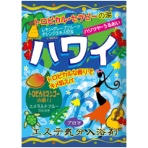 ヘルス　エステ気分アロマ　入浴剤　ハワイ　トロピカルマンゴーの香り　４０ｇ　１包