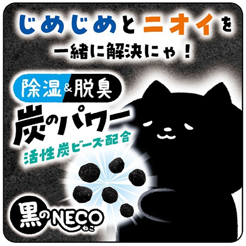 白元アース　ドライ＆ドライＵＰ　黒のＮＥＣＯ　１０００ｍＬ　１箱（２個）4