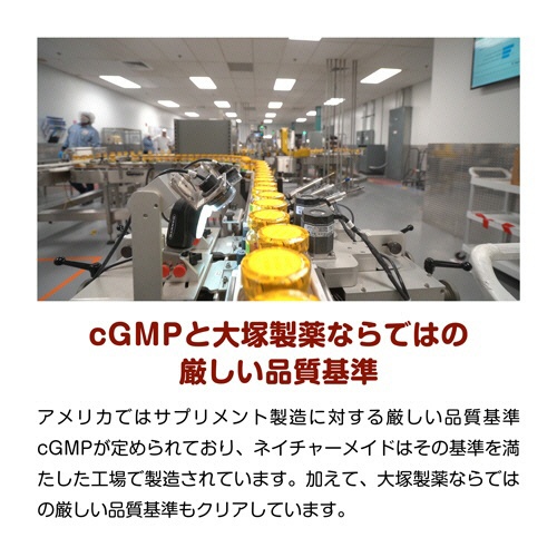 大塚製薬　ネイチャーメイド　亜鉛　６０日分　１個（６０粒）6