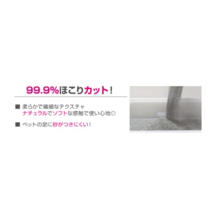 ペットプロジャパン　ＨａｐｐｙＤａｙｓ　猫砂　オードロック　６ｋｇ　１パック7